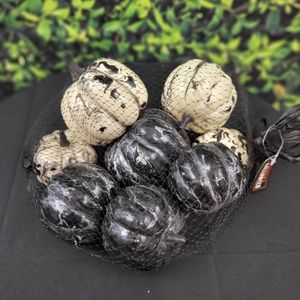 NWT Black and White Bag of Assorted Pumpkins